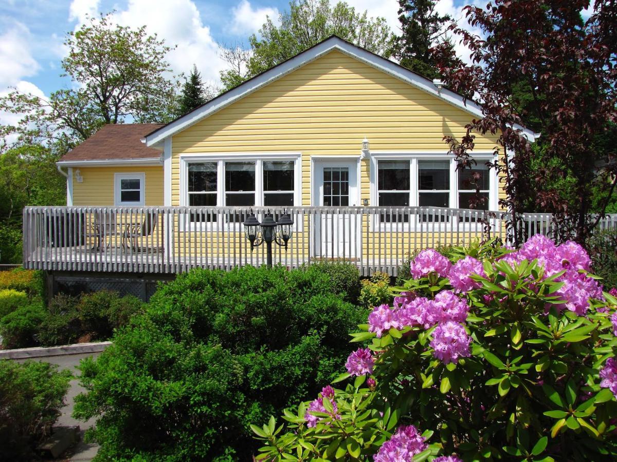 Larinda'S Landing Oceanfront Cottages Halifax Dış mekan fotoğraf
